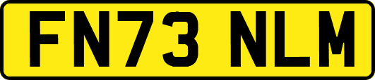 FN73NLM
