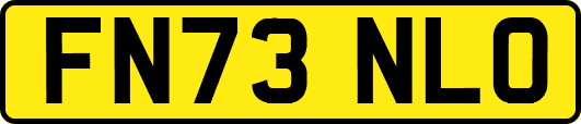 FN73NLO