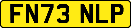 FN73NLP