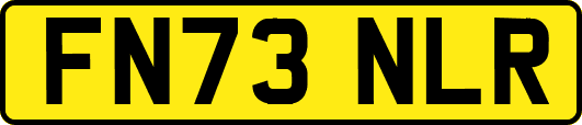 FN73NLR