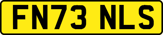 FN73NLS