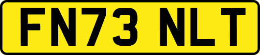 FN73NLT
