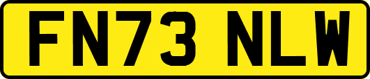 FN73NLW