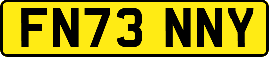FN73NNY