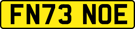 FN73NOE