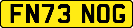 FN73NOG