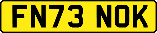 FN73NOK