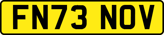 FN73NOV