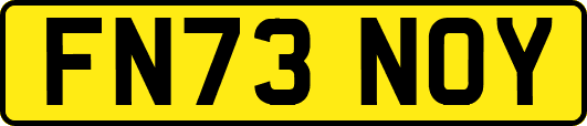 FN73NOY