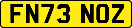 FN73NOZ
