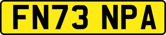 FN73NPA