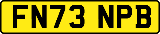 FN73NPB