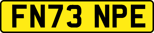 FN73NPE