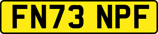FN73NPF
