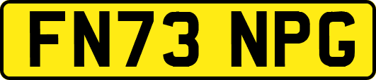 FN73NPG
