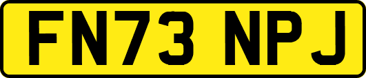FN73NPJ