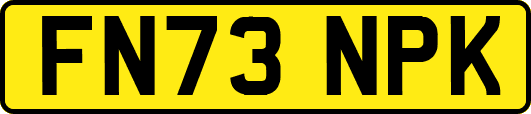 FN73NPK