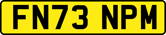 FN73NPM