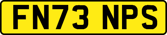 FN73NPS