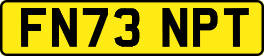 FN73NPT