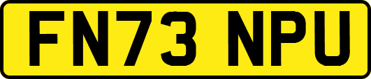 FN73NPU
