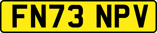 FN73NPV