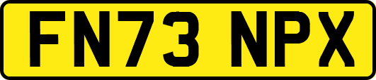 FN73NPX