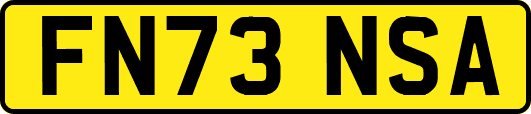 FN73NSA