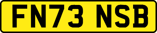 FN73NSB
