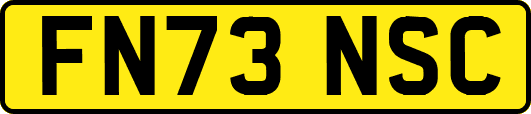 FN73NSC