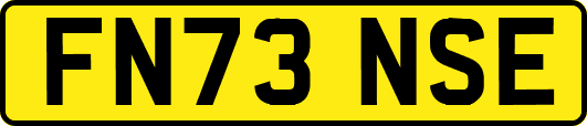 FN73NSE