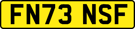 FN73NSF