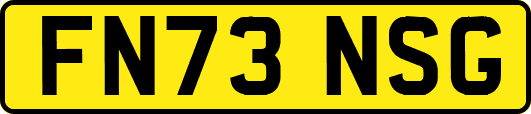 FN73NSG
