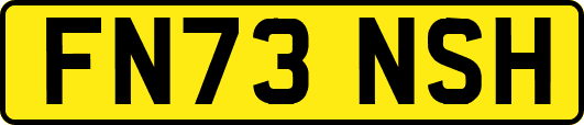 FN73NSH