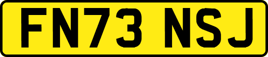 FN73NSJ
