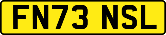 FN73NSL