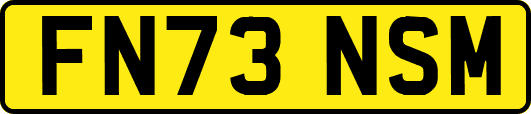 FN73NSM