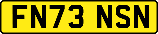 FN73NSN