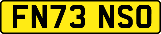 FN73NSO