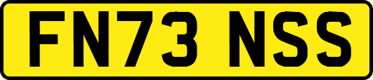 FN73NSS