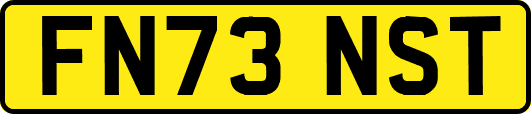 FN73NST