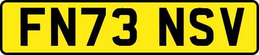 FN73NSV