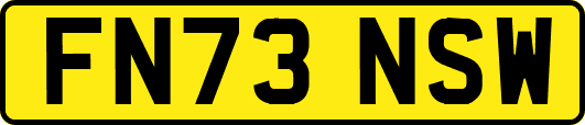 FN73NSW