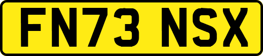 FN73NSX