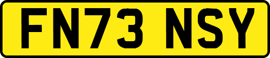 FN73NSY