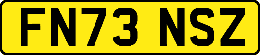 FN73NSZ