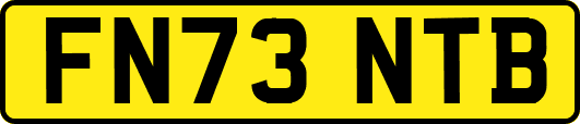 FN73NTB