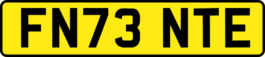 FN73NTE