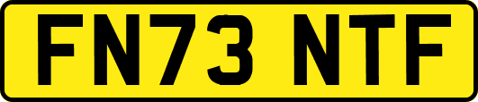 FN73NTF