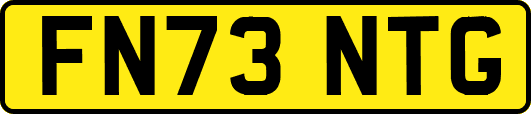 FN73NTG